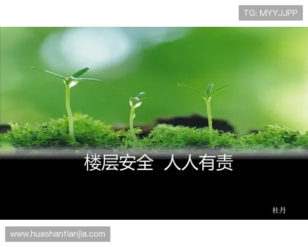 凯发网投会员登录安全保障措施，确保您的账户信息安全无忧